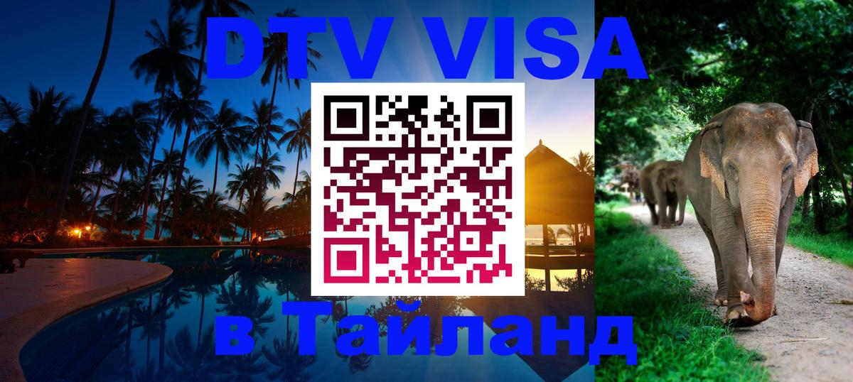 Оформление DTV визы под ключ: стоимость и тарифы, только загранпаспорт - Эль-Кувейт  19.11.2025 